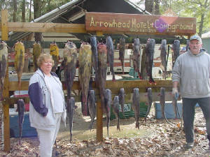SteveCollinsfish001.jpg