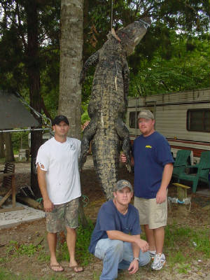 Gators007.jpg