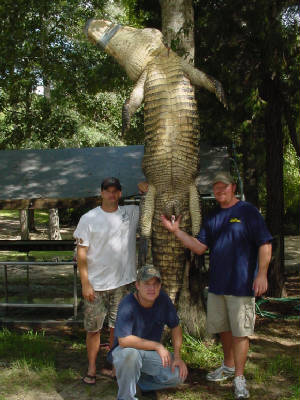 Gators007.jpg