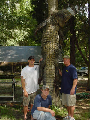 Gators007.jpg