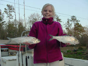 SteveCollinsfish001.jpg