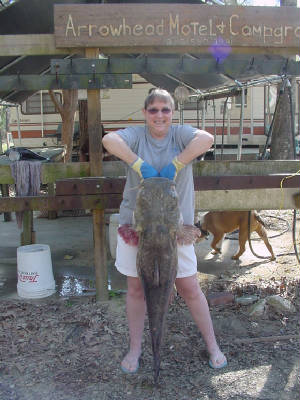 SteveCollinsfish001.jpg