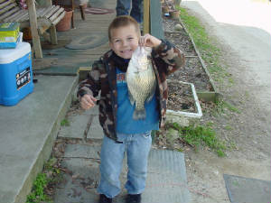 SteveCollinsfish001.jpg