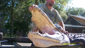 Eugenegator008.jpg