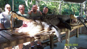 Eugenegator008.jpg
