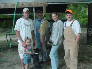flathead002.jpg