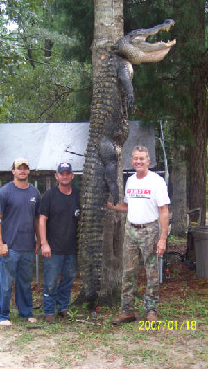 gators2010365.jpg