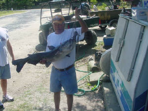 jimmysfish001.jpg
