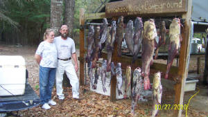 SteveCollinsfish001.jpg