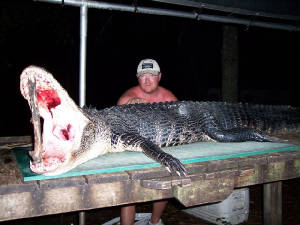 gators2010365.jpg