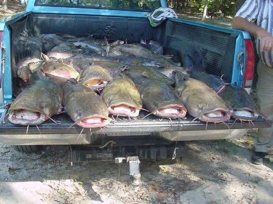 rivercatch002.jpg