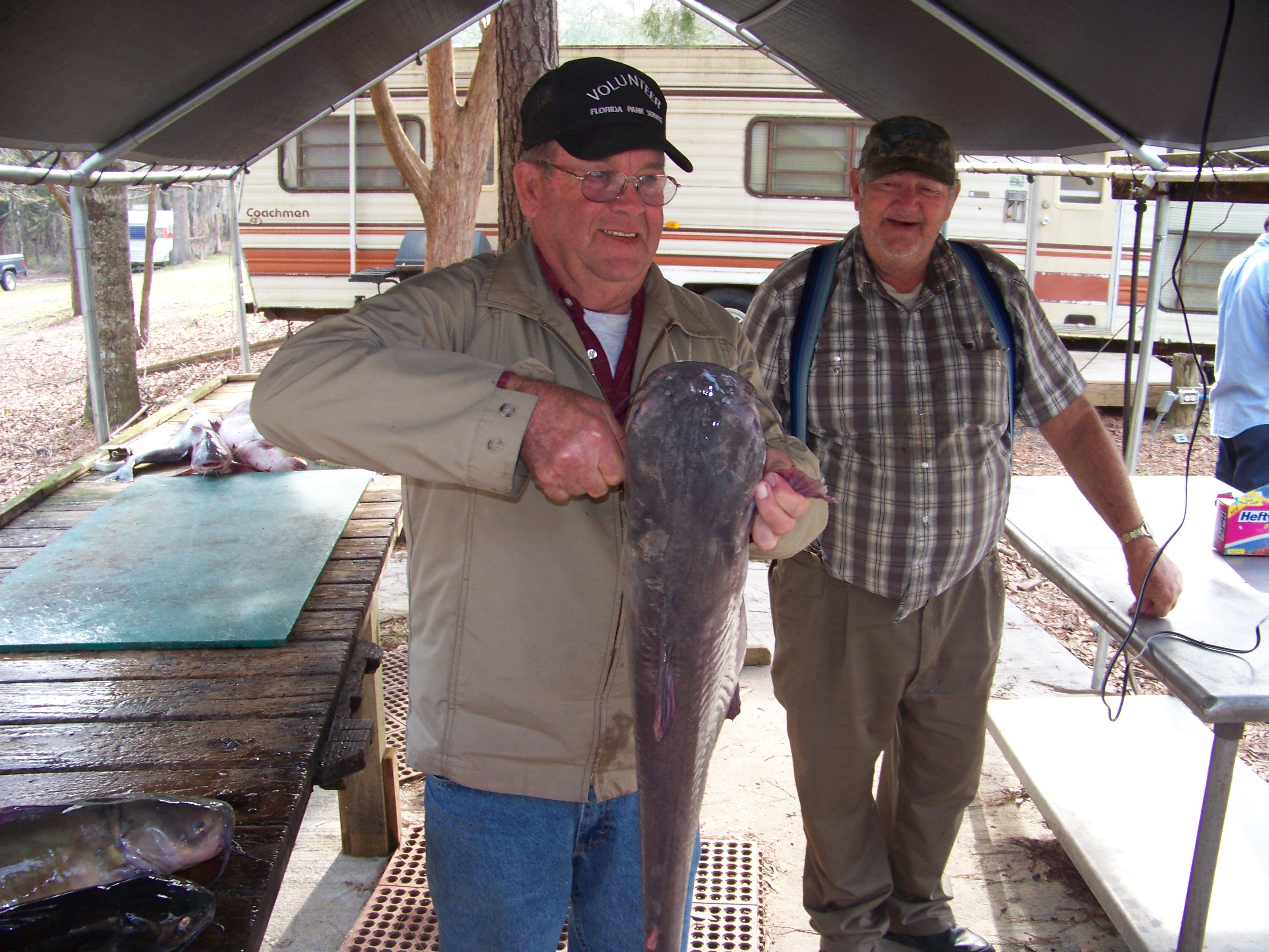 SteveCollinsfish001.jpg