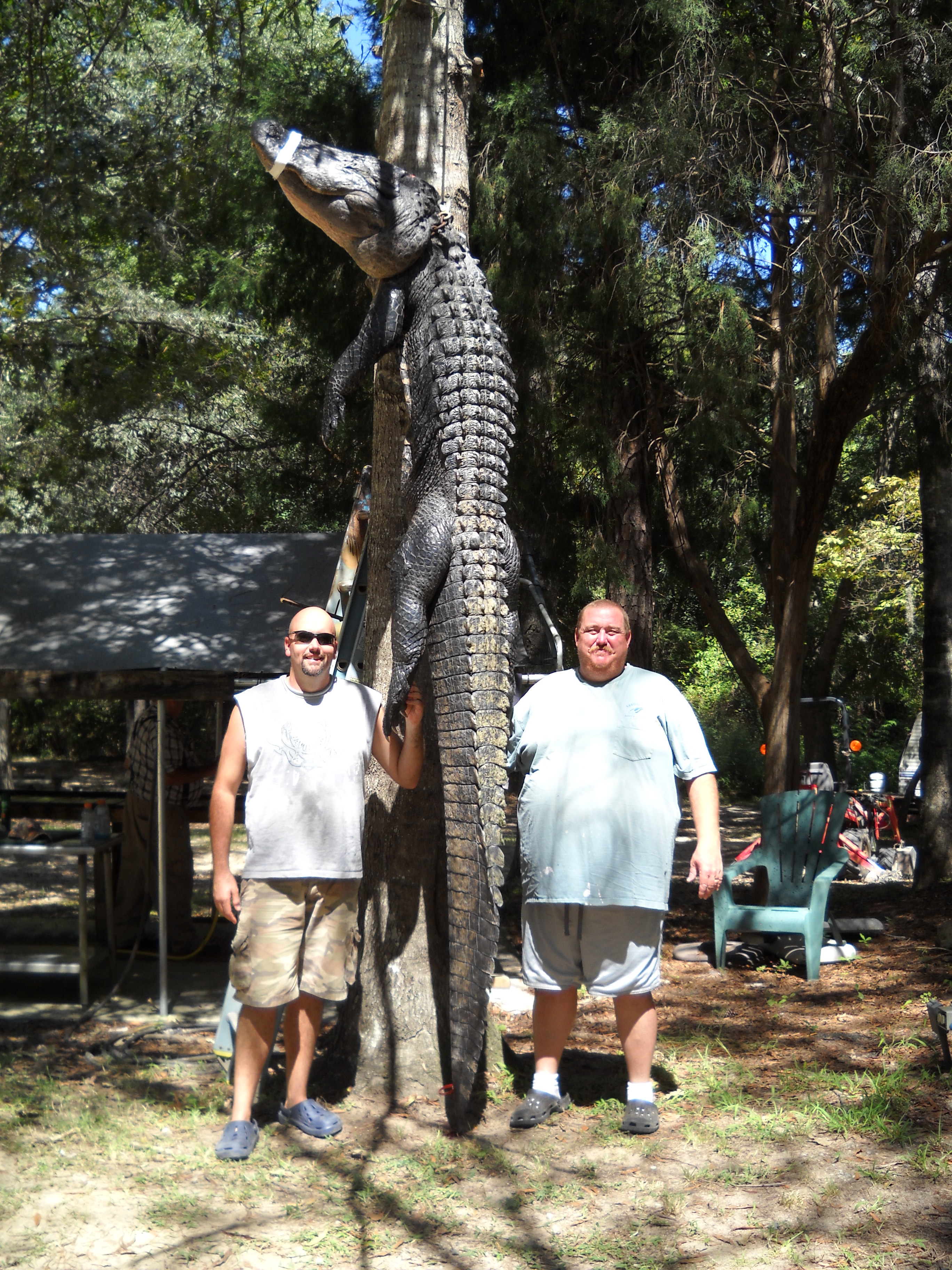 gators2010365.jpg