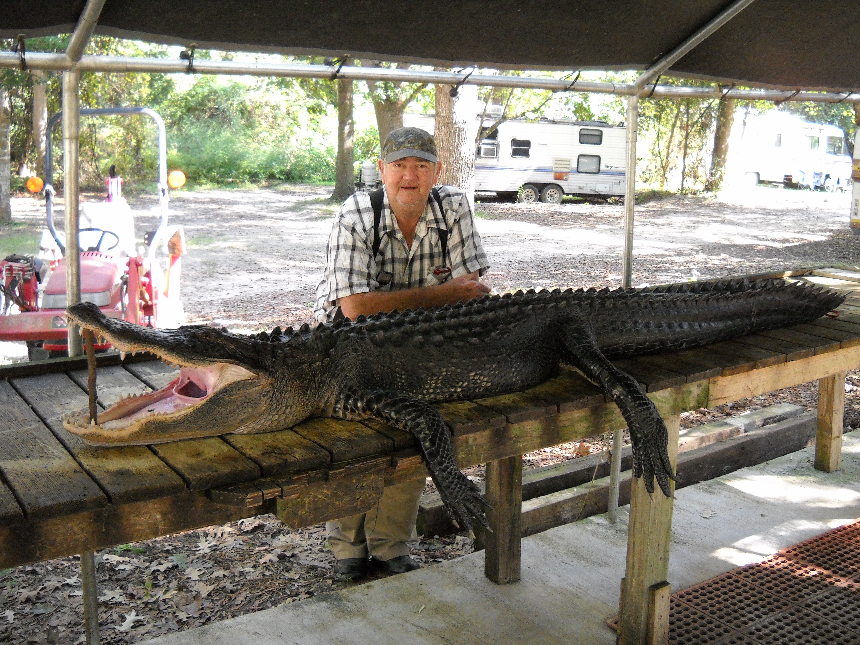 gators2010365.jpg